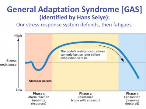 How Fatigued Are You? Factors That Measure Your Fatigue Level (Chart ...