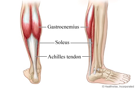 plantar fasciitis and calf muscles chilitri